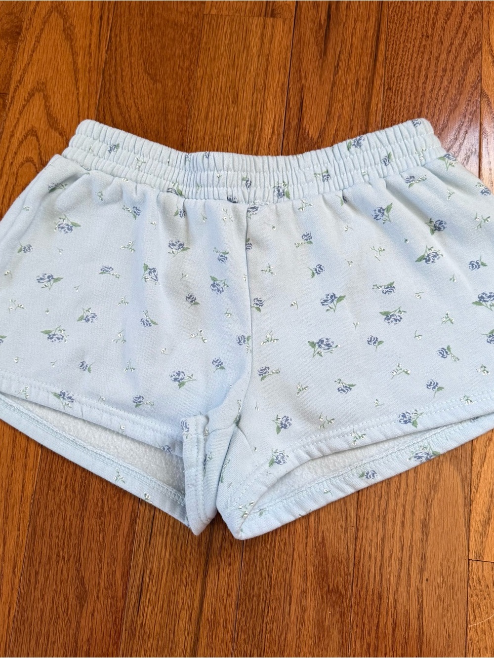 Cottagecore Women's Light Blue Floral Shorts